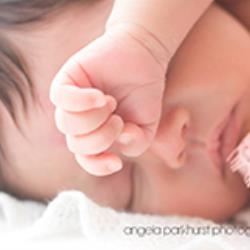 Angela Parkhurst Newborn Photographer - profile picture