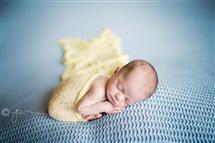 Jennie Pyfferoen newborn photography