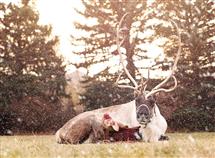 Michelle Taylor newborn photography