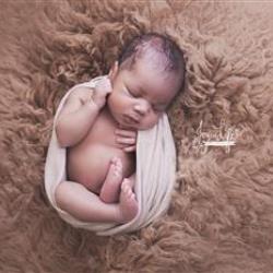 Joy Blackburn Newborn Photographer - profile picture