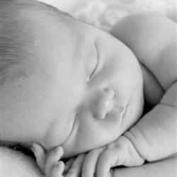 Ingrid Leegte Newborn Photographer - profile picture