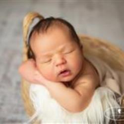 Jeneanne Ericsson Newborn Photographer - profile picture