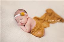 Lauren Wiegand newborn photography