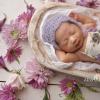 newborn photographer Alicen Lum