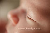 Nicole Everson newborn photography