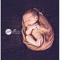 Deanna Belser Newborn Photographer - profile picture