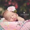 newborn photographer Cris Passos