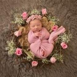Michelle Jackson Photography Newborn Photographer - profile picture