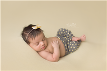 Malia Battilana newborn photography