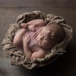 Kristy Hall Newborn Photographer - profile picture