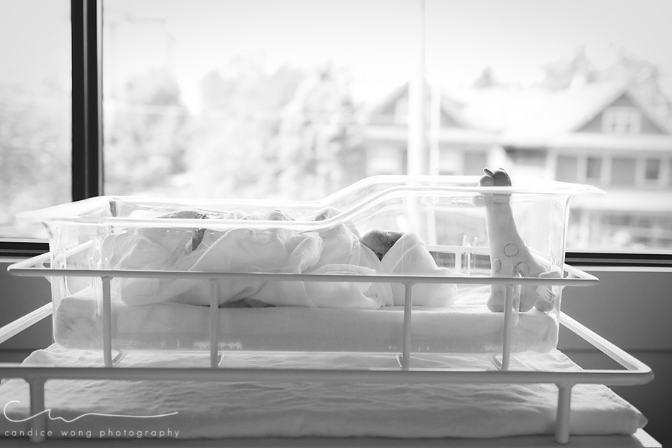 newborn photography community critique photo submitted by Candice Wong - 5 community members set this photo as a favourite image.