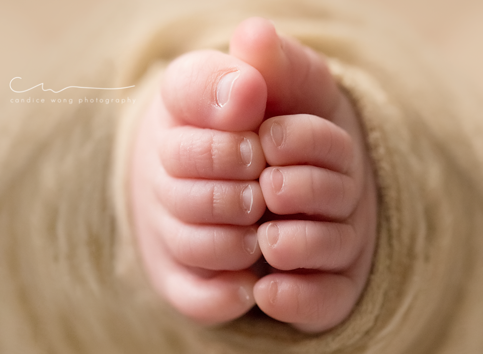 newborn photography community critique photo submitted by Candice Wong - 7 community members set this photo as a favourite image.