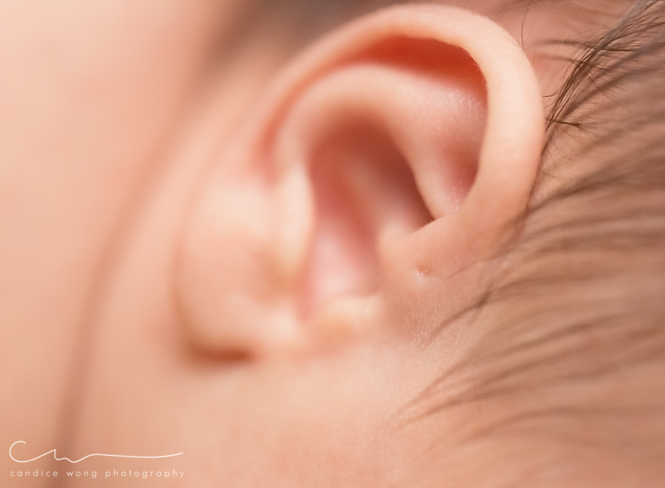 newborn photography community critique photo submitted by Candice Wong - 5 community members set this photo as a favourite image.