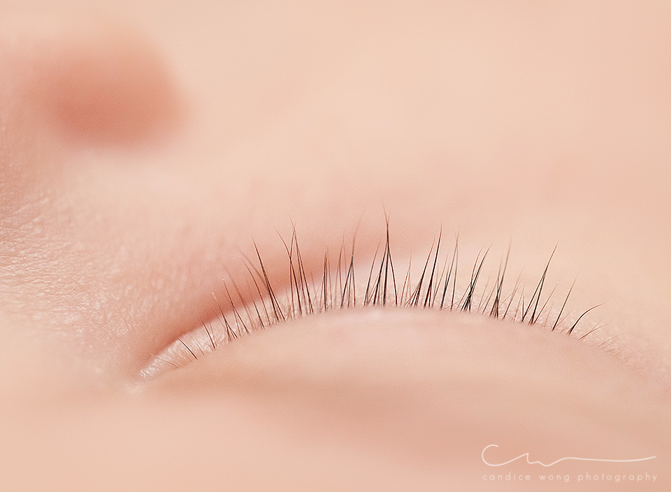 newborn photography community critique photo submitted by Candice Wong - 5 community members set this photo as a favourite image.