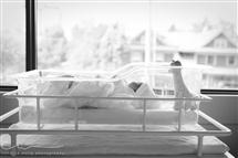 Candice Wong newborn photography