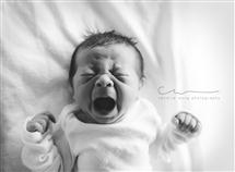 Candice Wong newborn photography