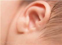 Candice Wong newborn photography