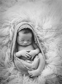 Candice Wong newborn photography
