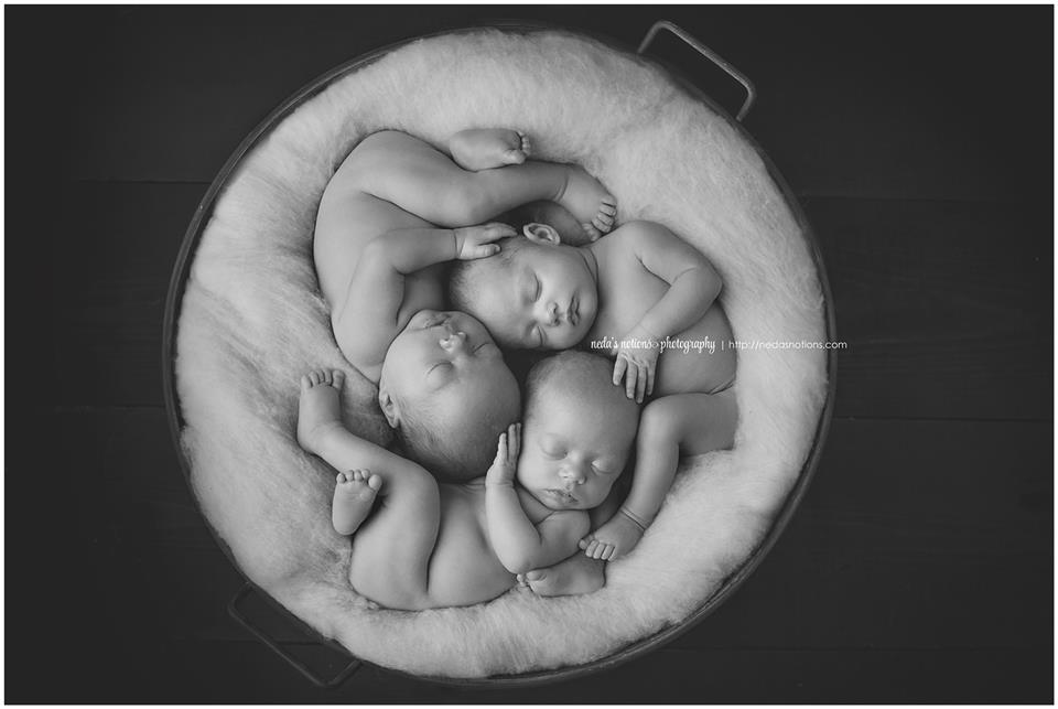 newborn photography community critique photo submitted by Neda Burtman-Wetmore - 5 community members set this photo as a favourite image.