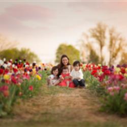 Ally Amos Newborn Photographer - profile picture