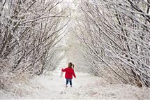 Marija Rodgers newborn photography