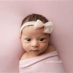 Nikki Criniti Newborn Photographer - profile picture