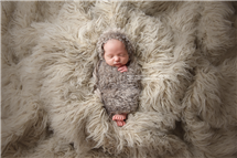 Keri Meyers newborn photography