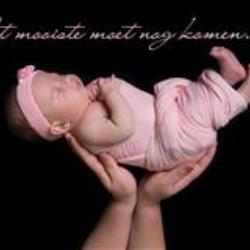 Hilde Peetermans Newborn Photographer - profile picture