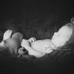 Sylvia Bentele Newborn Photographer - profile picture