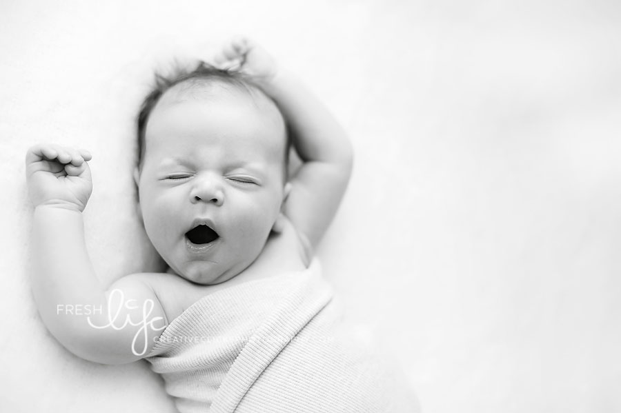 newborn photography community critique photo submitted by Tamsen Donker - 4 community members set this photo as a favourite image.