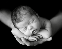 Tamsen Donker newborn photography