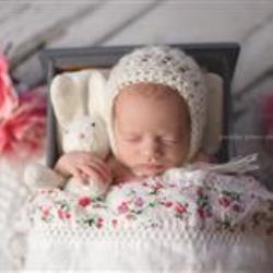 Jennifer Prisco Newborn Photographer - profile picture