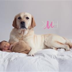 Kristen Hrebin Newborn Photographer - profile picture