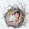 newborn photographer James Hill