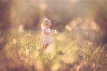 Jenny Gibson newborn photography