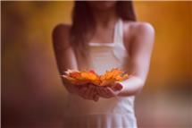 Jennifer Blakeley newborn photography