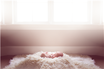 Jennifer Blakeley newborn photography