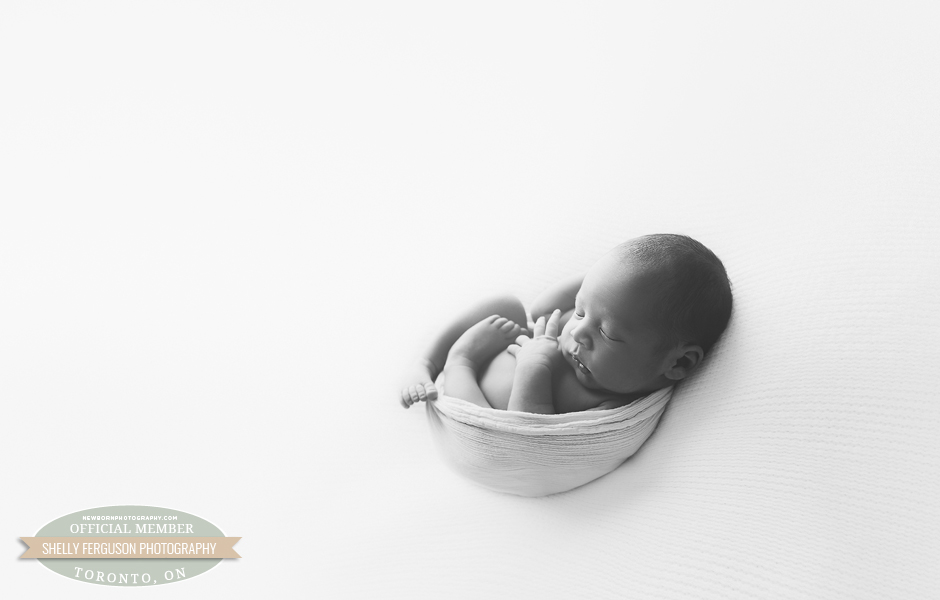 Shelly Ferguson Photography - Toronto, Canada - Newborn Photography